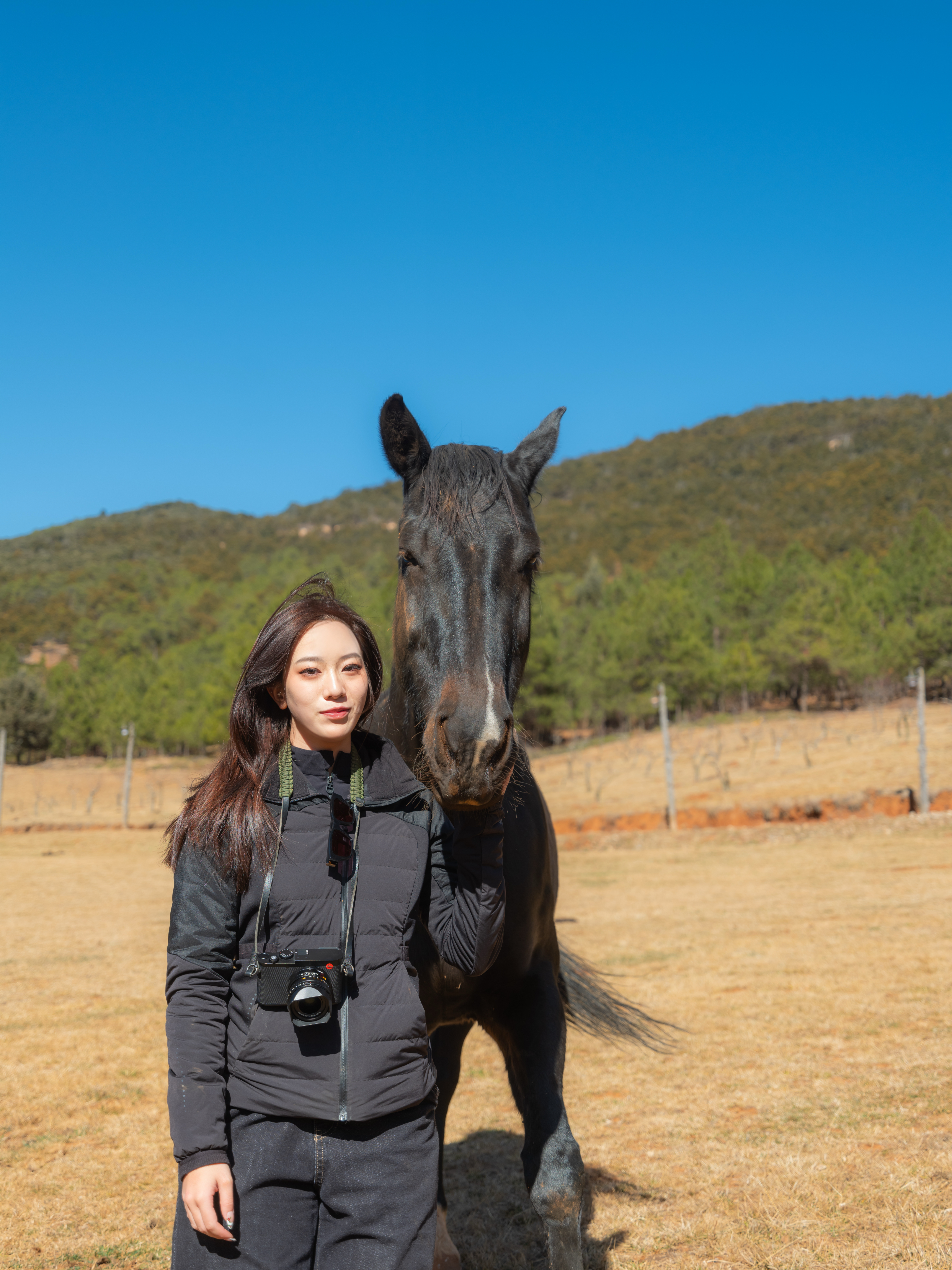 With my horses